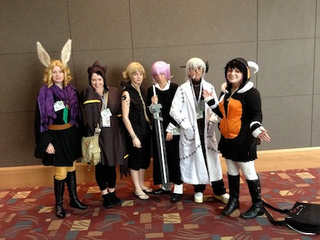 Illustration for article titled Izumicon 2013 Wrap-up & Pics